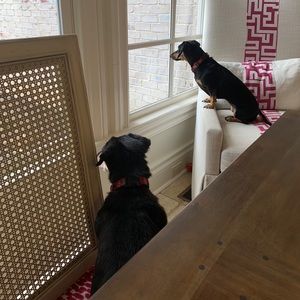 Meet your Posher, Beth